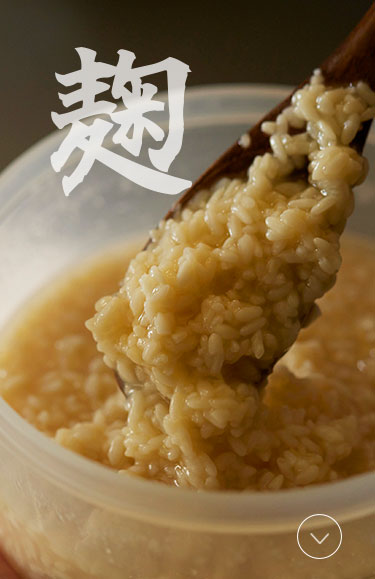 麹