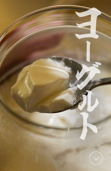 ヨーグルト